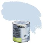 Emalia AKRYLOWA JEDNOWARSTWOWA 0.5 l Nemo 6 Satynowa LUXENS