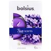 Podgrzewacz zapachowy TRUE SCENTS lawenda 6 szt. BOLSIUS