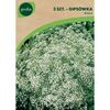 Cebulki kwiatów Gipsówka wiechowata (Łyszczec) 3szt. GEOLIA