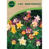 Orlik MIX 3 szt. GEOLIA