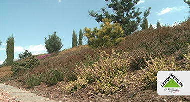 Podlewanie