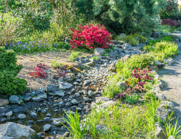 Jak zbudować i zaaranżować suchy strumień w ogrodzie?