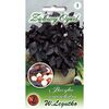 Bazylia czerwonolistna nasiona tradycyjne 0.5 g W. LEGUTKO