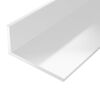 Profil 1000X40X10MM GAH ALBERTS