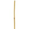 Tyczka bambusowa 120 cm x 12/14 mm RIM