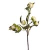 Sztuczny kwiat CHMIEL 63 cm 10 cm SPLENDID