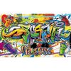 Fototapeta GRAFFITI 254 x 368 cm