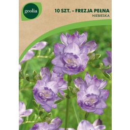 Frezja Double 10szt. cebulki kwiatów Geolia