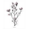 Kanwa MAGNOLIA 50 x 70 cm