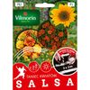 Nasiona kwiatów SALSA Mieszanka kwiatów VILMORIN