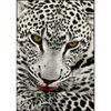 Dywan KOLIBRI PANTERA szary 133 x 190 cm wys. runa 10.5 mm KARAT