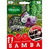 Nasiona kwiatów SAMBA Mieszanka kwiatów VILMORIN