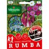 Mieszanka kwiatów RUMBA VILMORIN