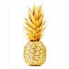 Plakat ANANAS 30 x 40 cm