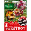 Nasiona kwiatów FOKSTROT Mieszanka kwiatów VILMORIN