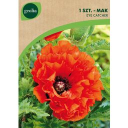 Mak Eye Catcher 1szt. cebulki kwiatów Geolia