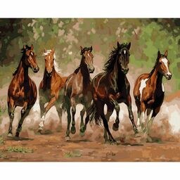Malowanie po numerach Konie 50 x 40 cm