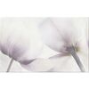 Dekor ELLE TULIP 25 X 40 CERSANIT