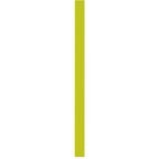 Blenda boczna ORLY 14.9 x 244 cm DELINIA