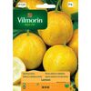 Ogórek gruntowy LEMON VILMORIN