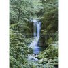 Fototapeta WATERFALL IN SPRING 254 x 183 cm