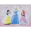Fototapeta KSIĘŻNICZKI 184 x 254 cm DISNEY